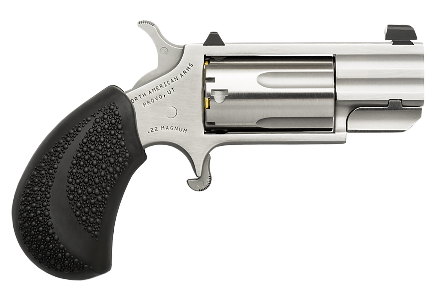 North American Arms Pug 22 Magnum