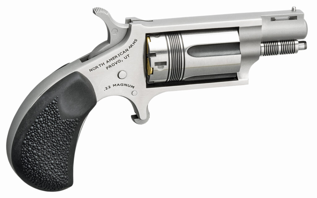 North American Arms The Wasp 22 Magnum