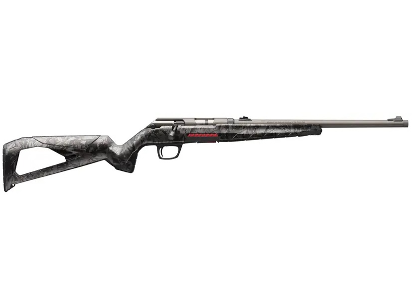 Winchester XPERT 22 LR